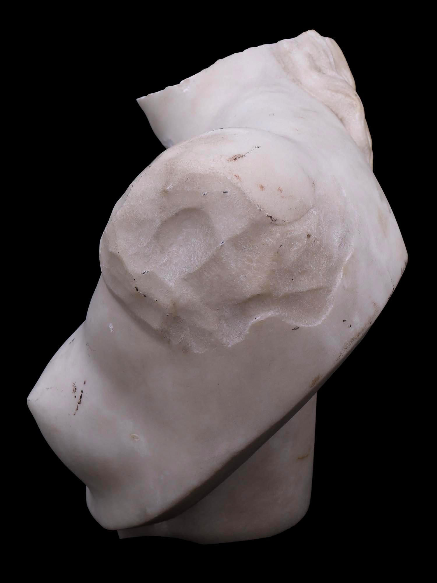 19TH CENTURY GRAND TOUR MARBLE BUST OF APHRODITE PIC-4